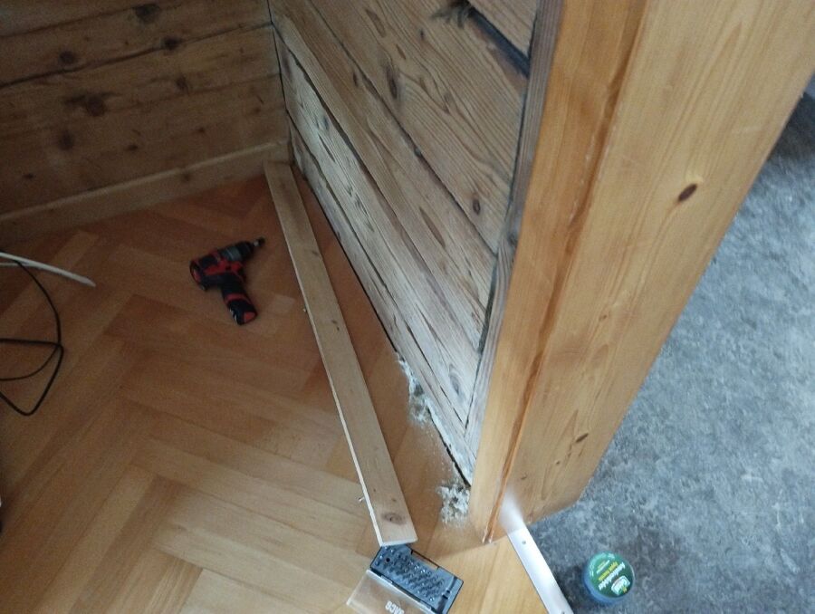 ameisen_vertreiben_bekaempfen_entfernen