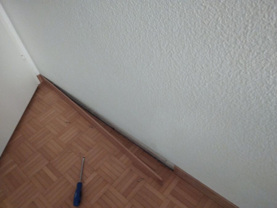 ameisen_vertreiben_bekaempfen_entfernen