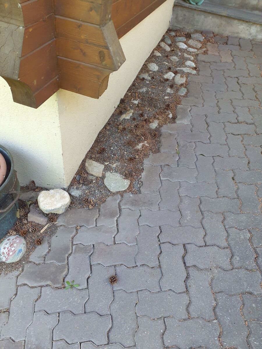 ameisen_vertreiben_bekaempfen_entfernen