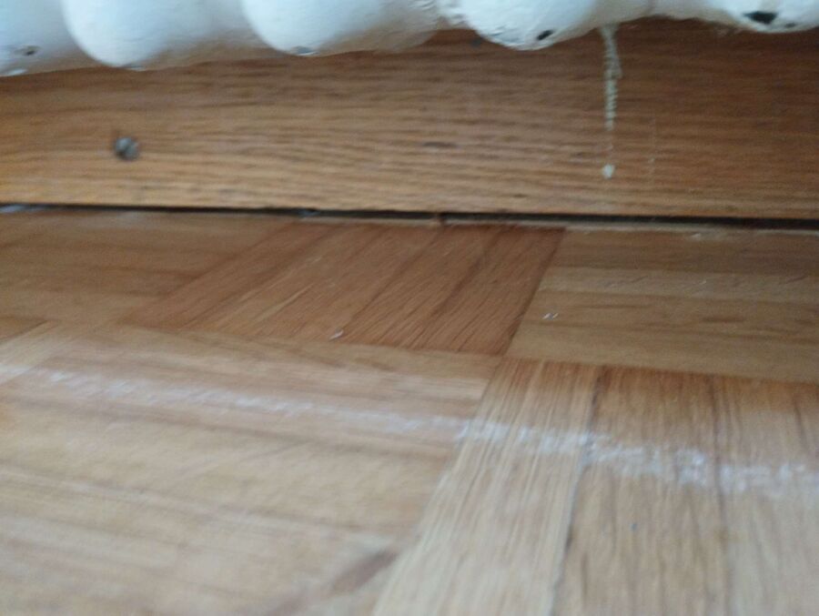 ameisen_vertreiben_bekaempfen_entfernen