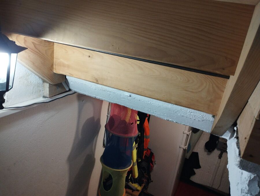 ameisen_vertreiben_bekaempfen_entfernen