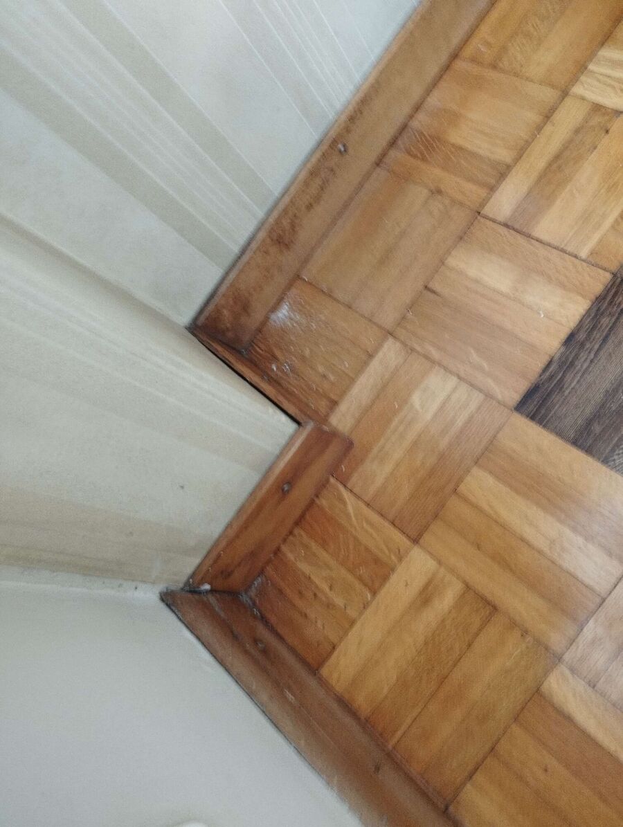 ameisen_vertreiben_bekaempfen_entfernen