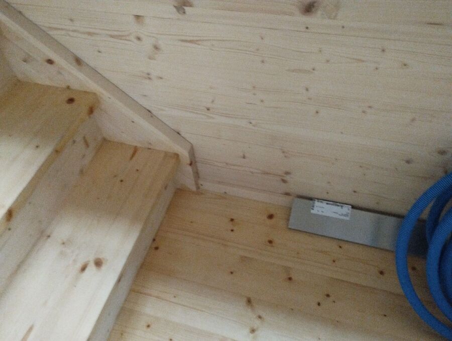 ameisen_vertreiben_bekaempfen_entfernen