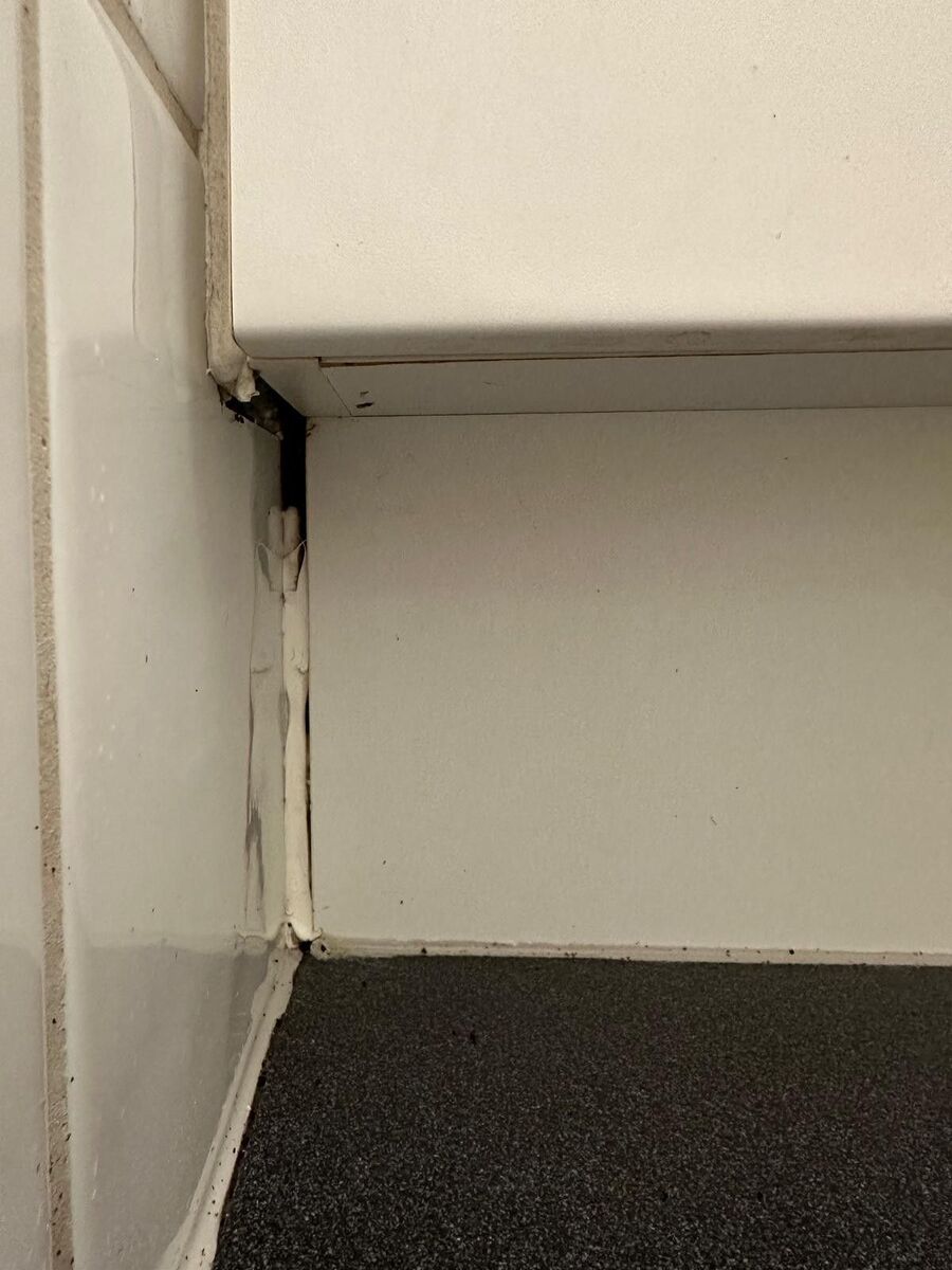 ameisen_vertreiben_bekaempfen_entfernen