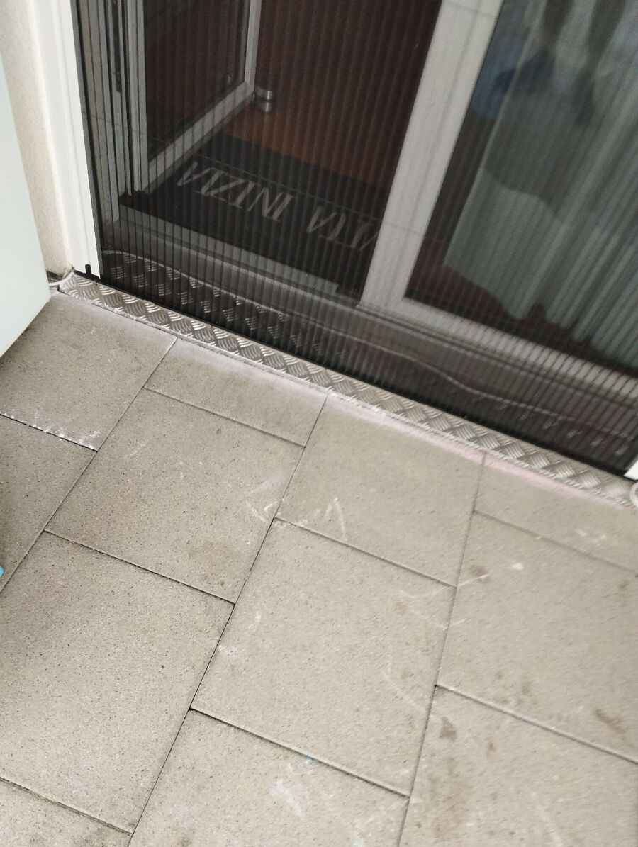 ameisen_vertreiben_bekaempfen_entfernen