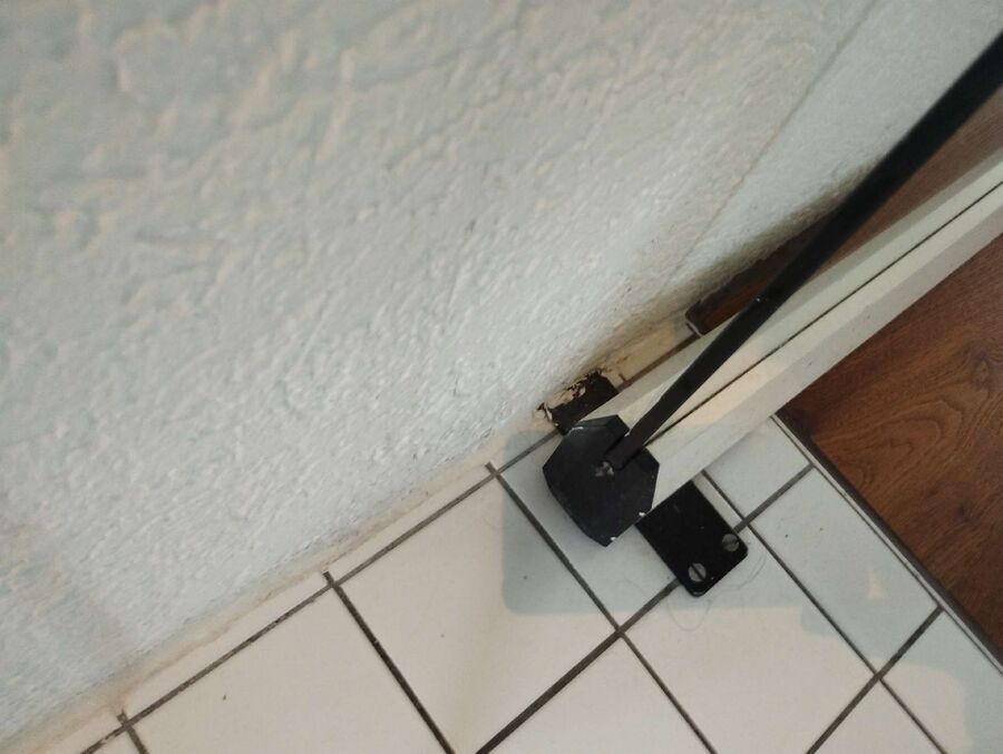 ameisen_vertreiben_bekaempfen_entfernen