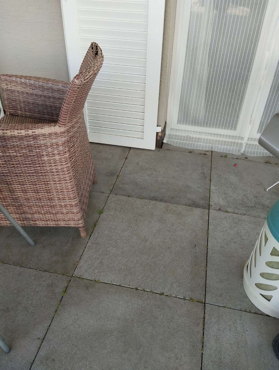 ameisen_vertreiben_bekaempfen_entfernen