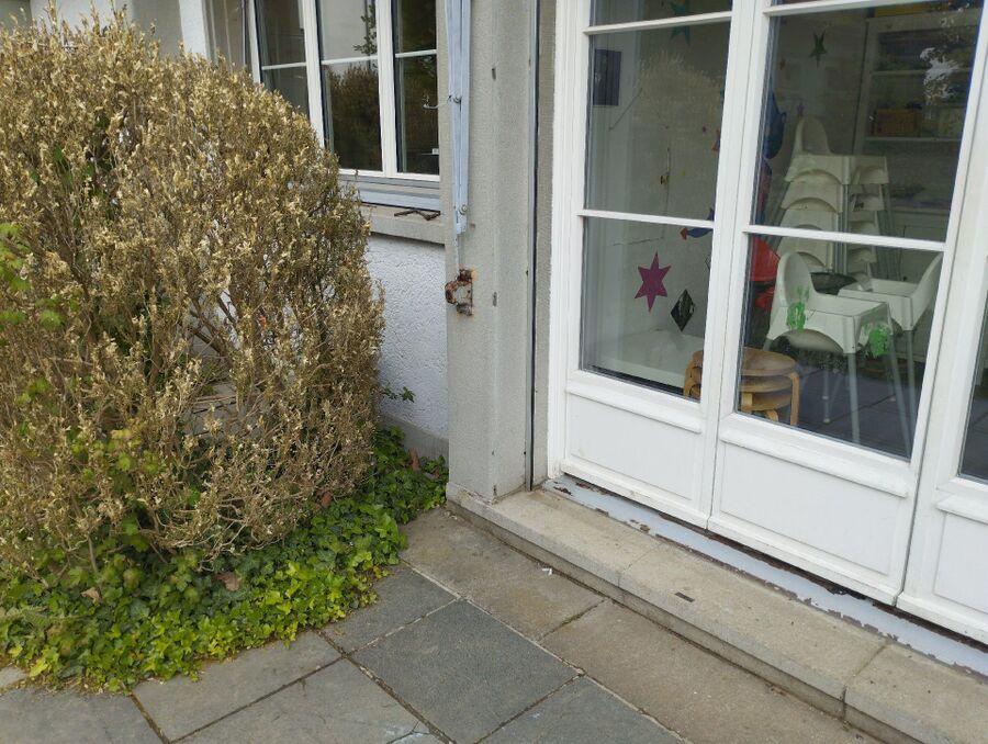 ameisen_vertreiben_bekaempfen_entfernen