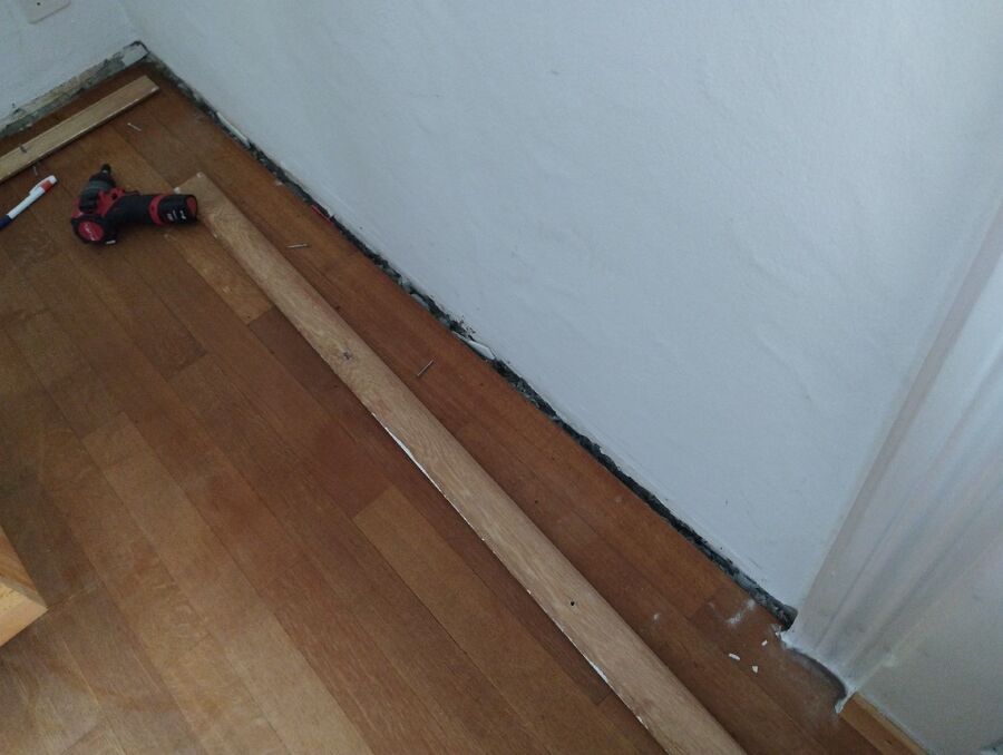 ameisen_vertreiben_bekaempfen_entfernen