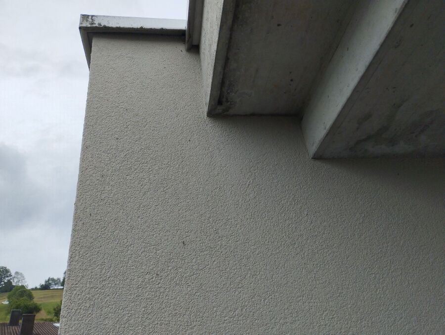 ameisen_vertreiben_bekaempfen_entfernen