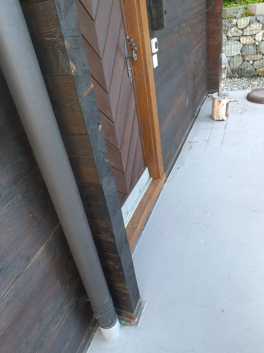 ameisen_vertreiben_bekaempfen_entfernen