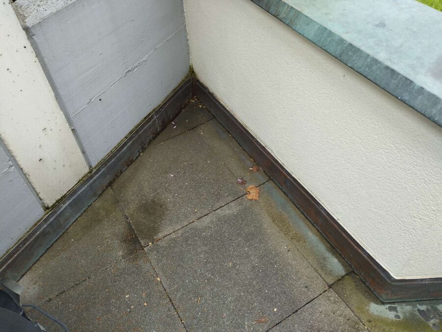 ameisen_vertreiben_bekaempfen_entfernen