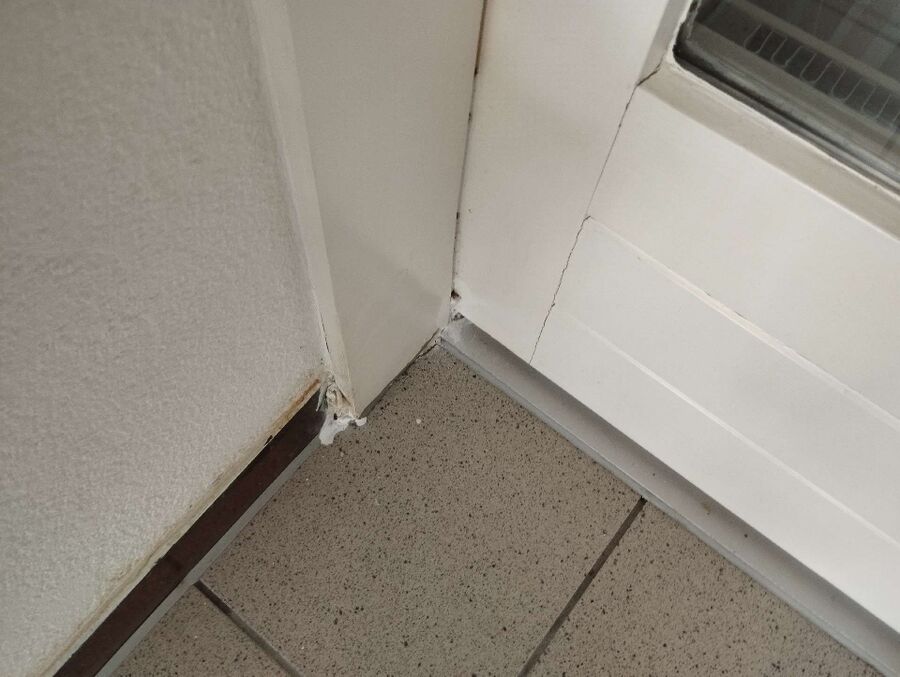 ameisen_vertreiben_bekaempfen_entfernen