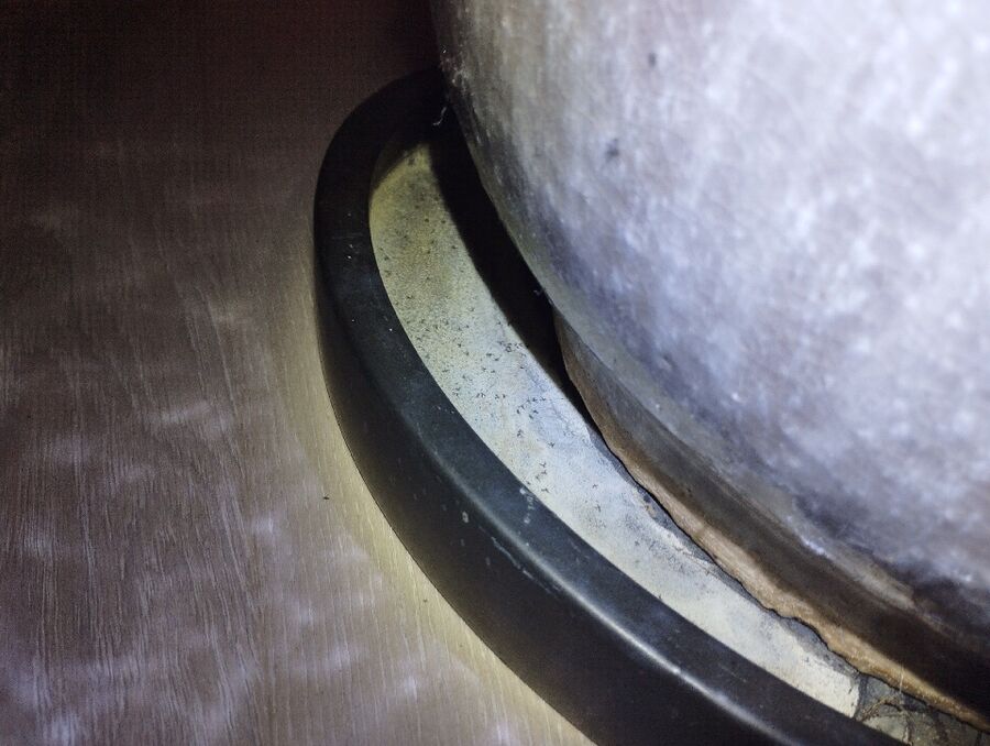 ameisen_vertreiben_bekaempfen_entfernen