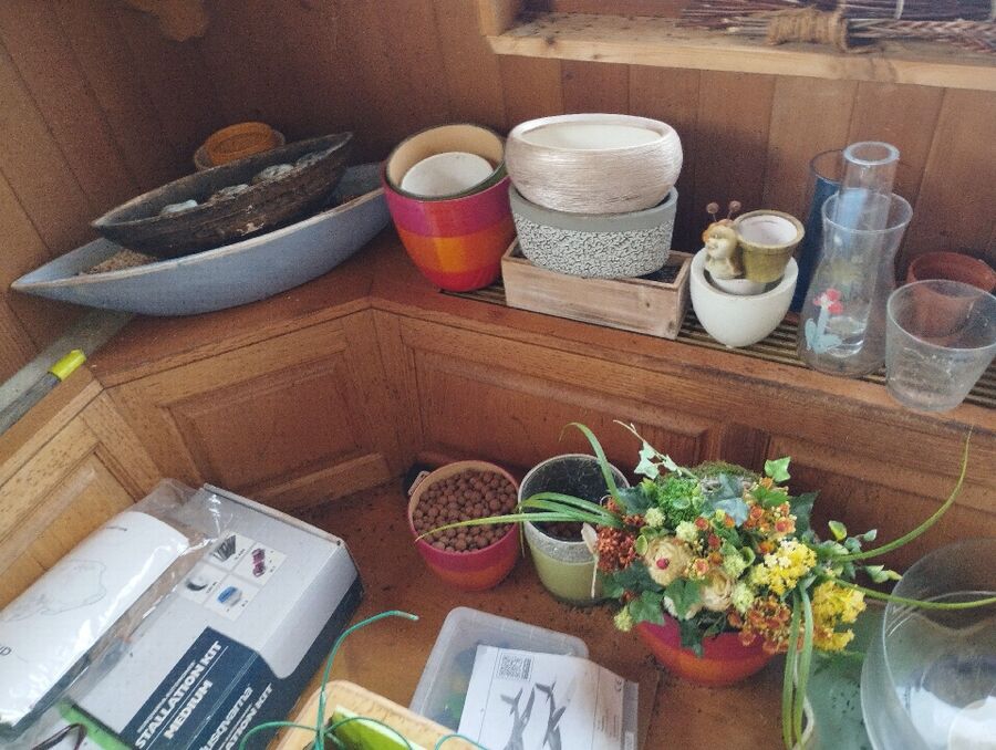 ameisen_vertreiben_bekaempfen_entfernen