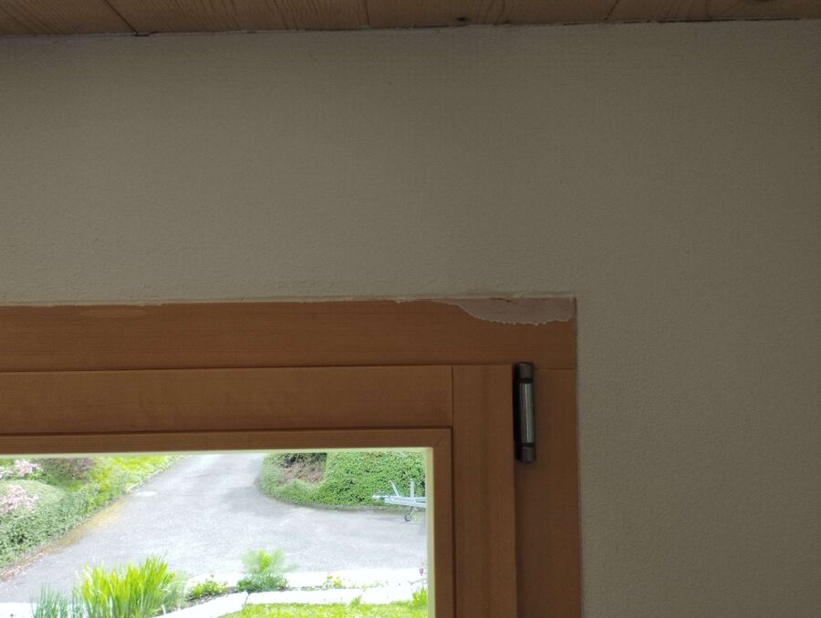 ameisen_vertreiben_bekaempfen_entfernen