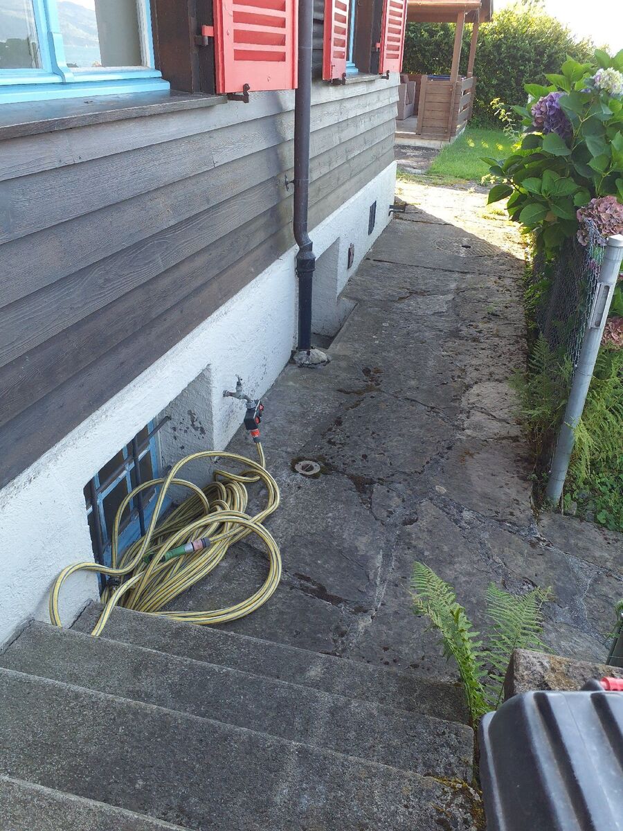 ameisen_vertreiben_bekaempfen_entfernen