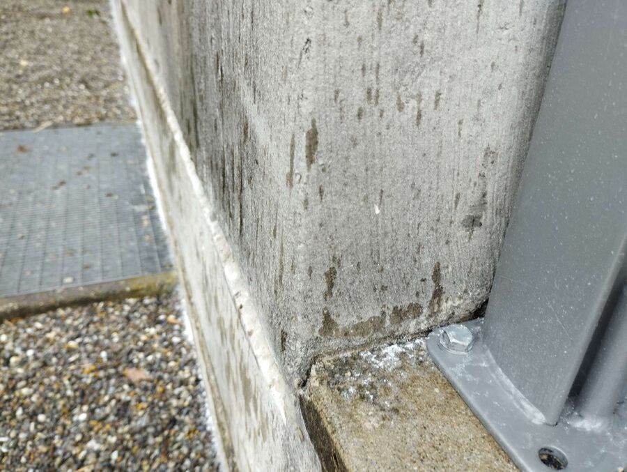 ameisen_vertreiben_bekaempfen_entfernen