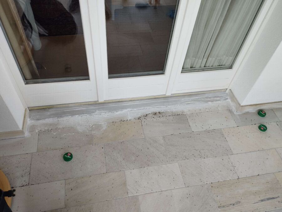 ameisen_vertreiben_bekaempfen_entfernen