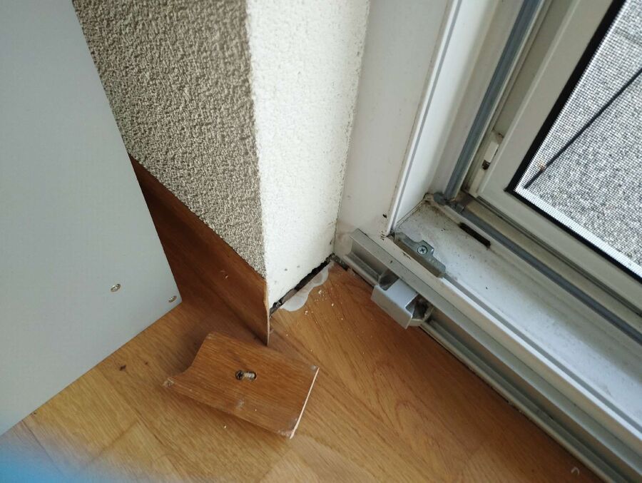 ameisen_vertreiben_bekaempfen_entfernen