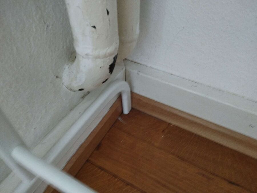 ameisen_vertreiben_bekaempfen_entfernen