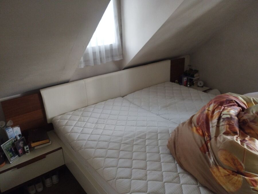 bettwanzen_bekaempfen