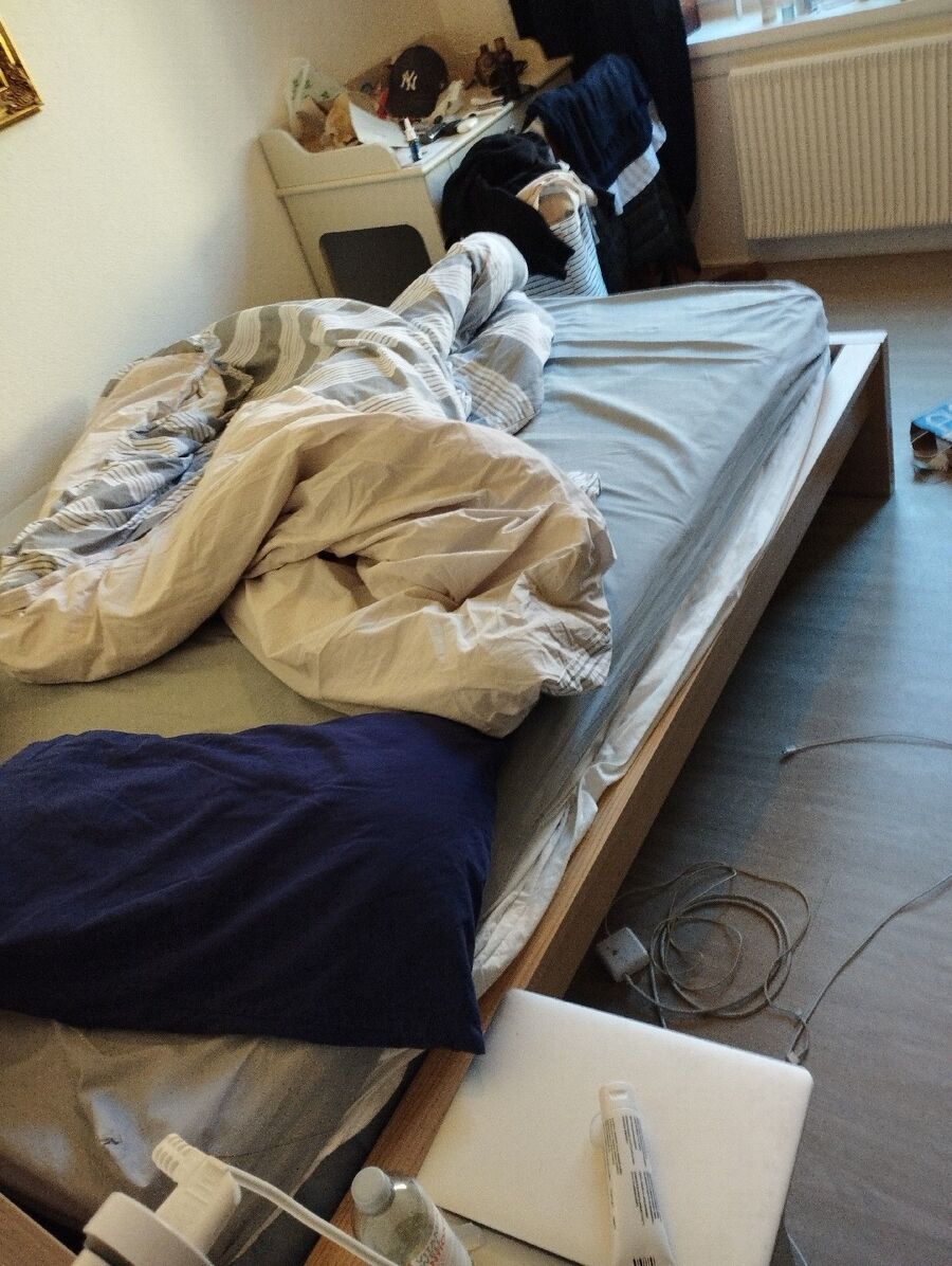 bettwanzen_bekaempfen