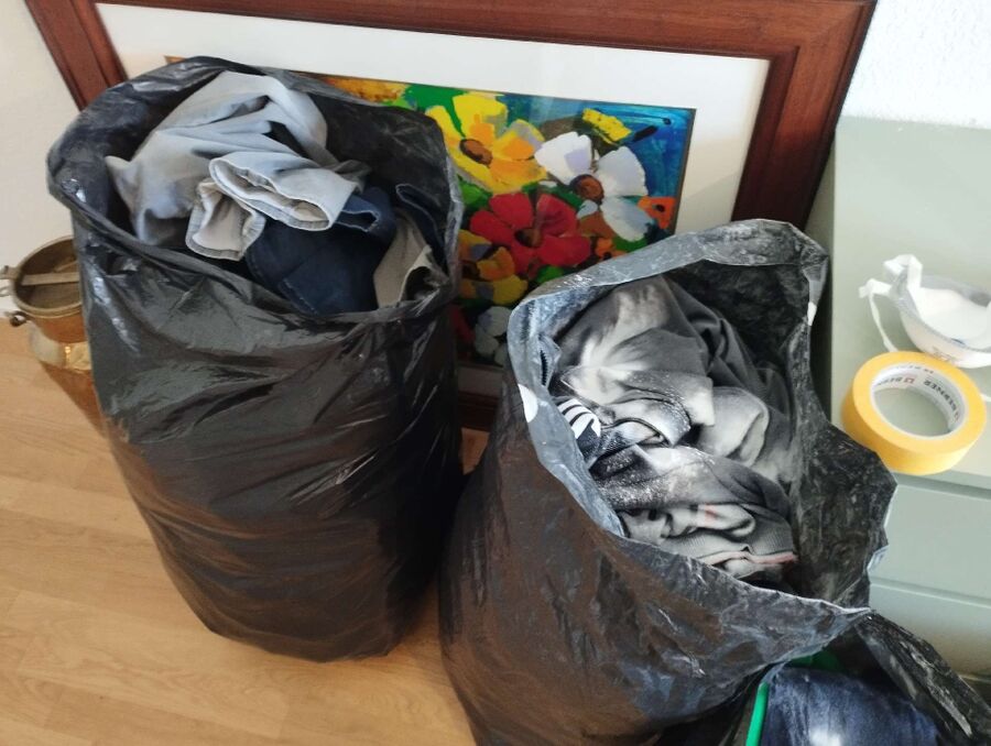 bettwanzen_bekaempfen