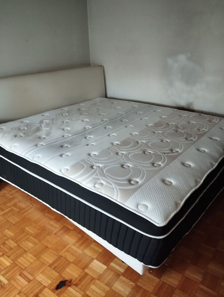 bettwanzen_bekaempfen