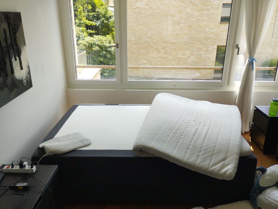 bettwanzen_bekaempfen