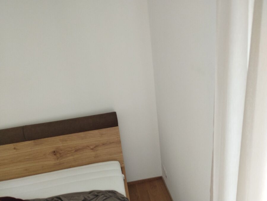 bettwanzen_bekaempfen