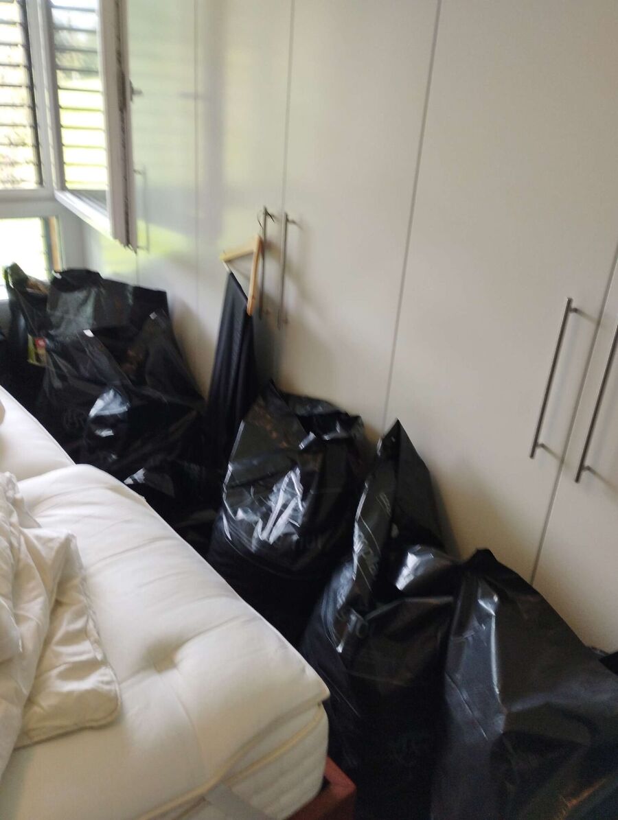 bettwanzen_bekaempfen