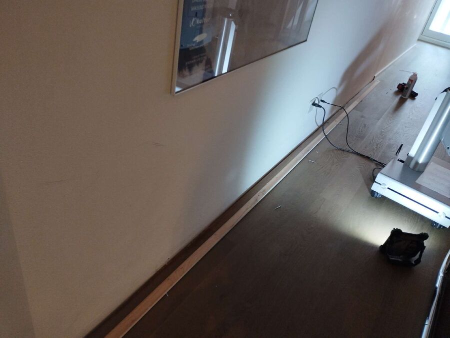 bettwanzen_bekaempfen