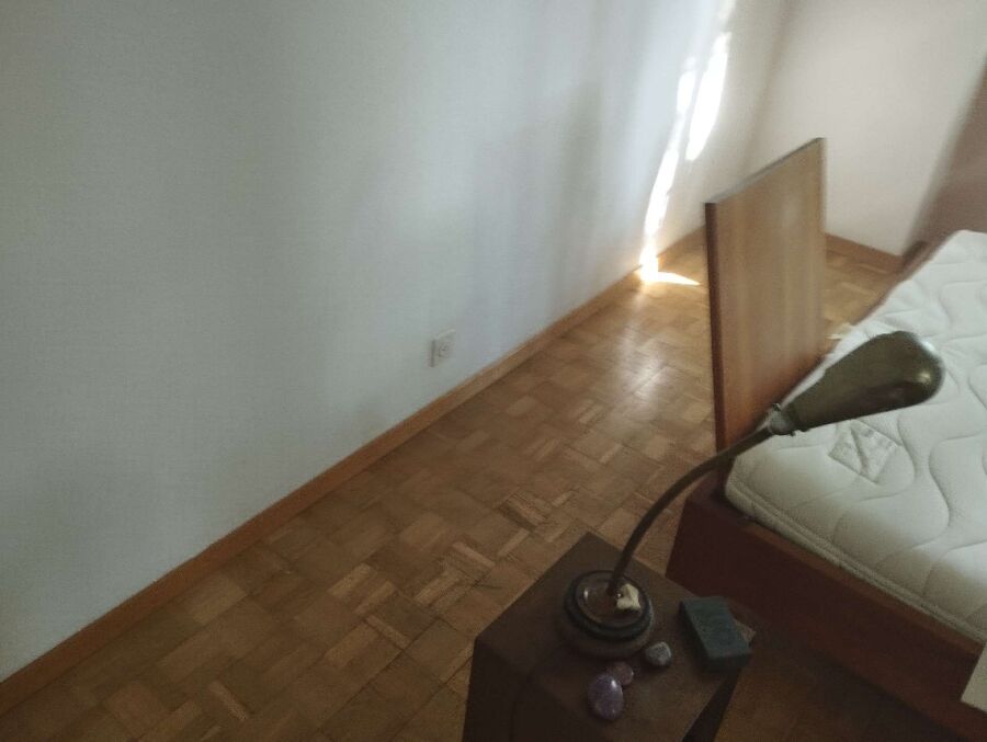 bettwanzen_bekaempfen