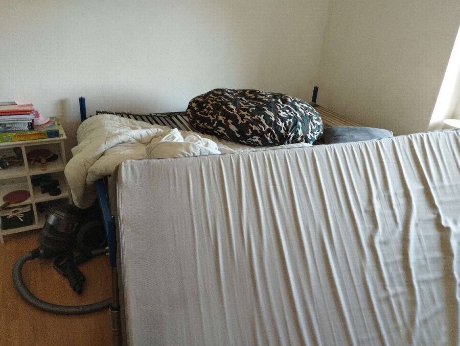 bettwanzen_bekaempfen