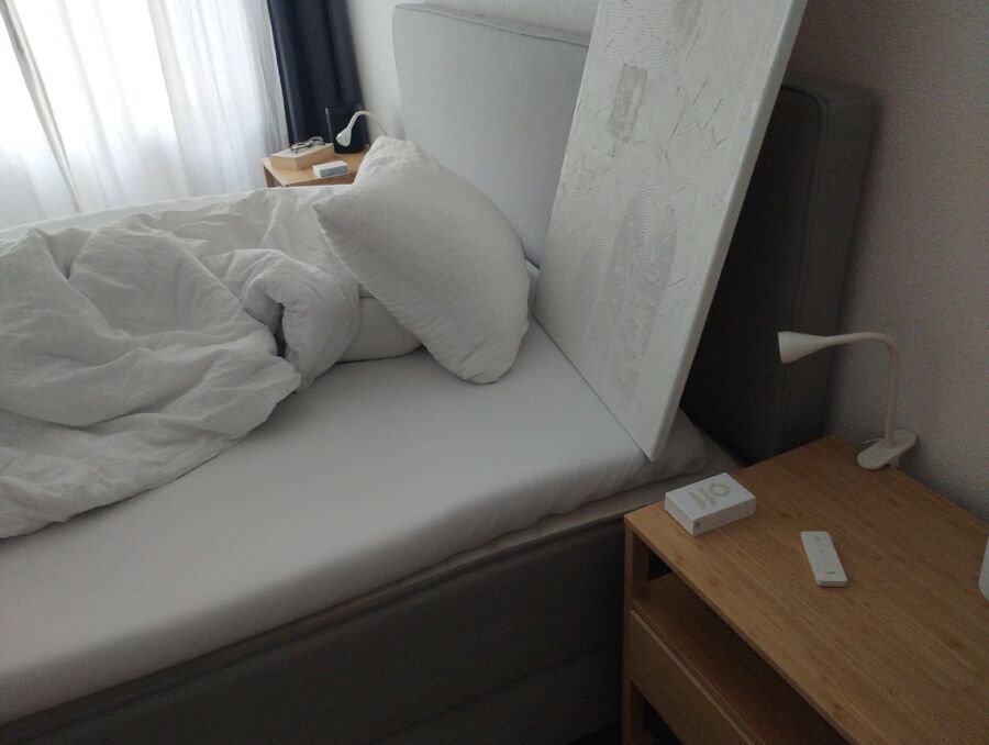 bettwanzen_bekaempfen