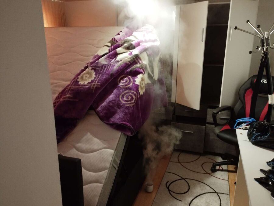 bettwanzen_bekaempfen