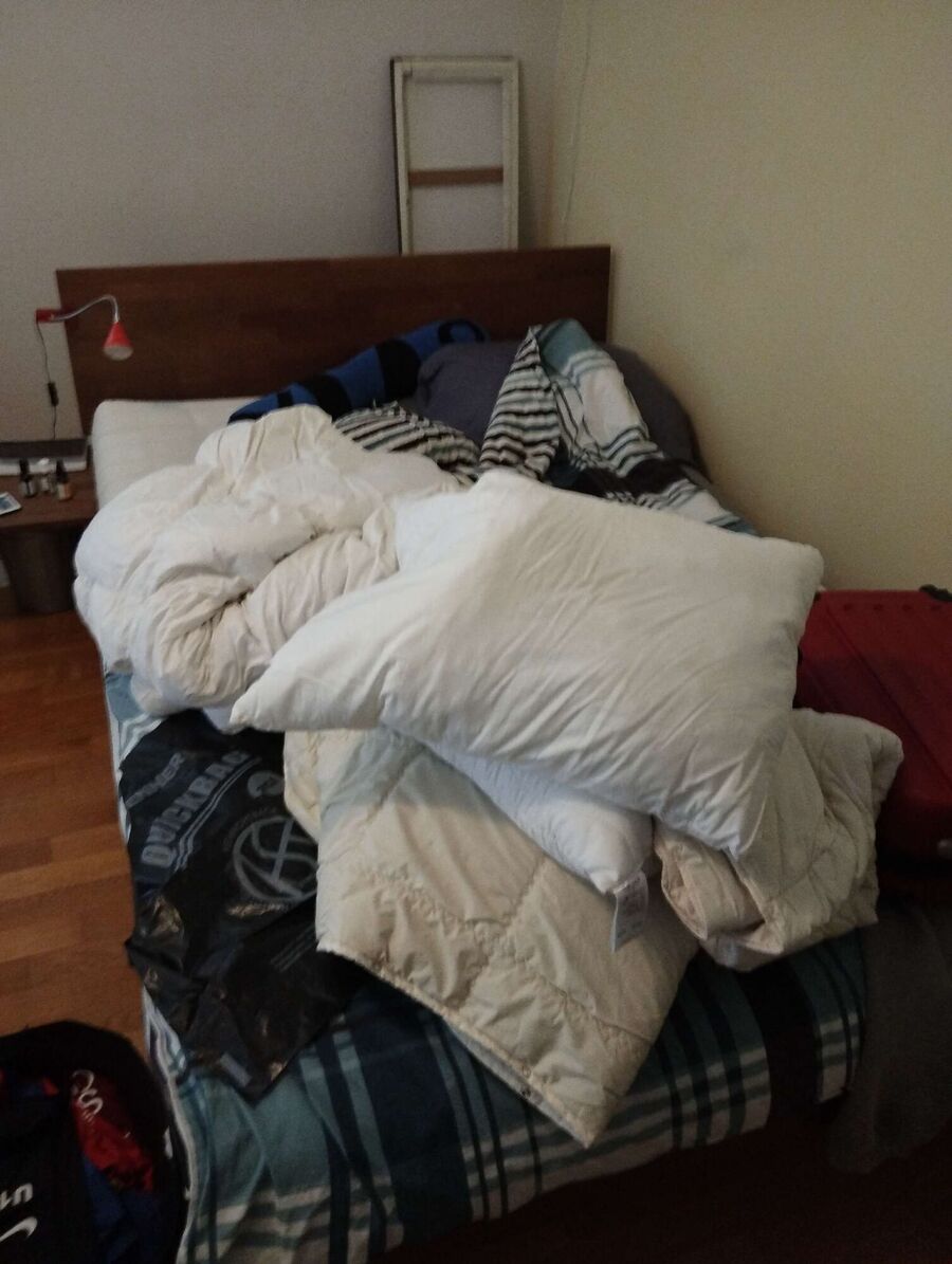 bettwanzen_bekaempfen