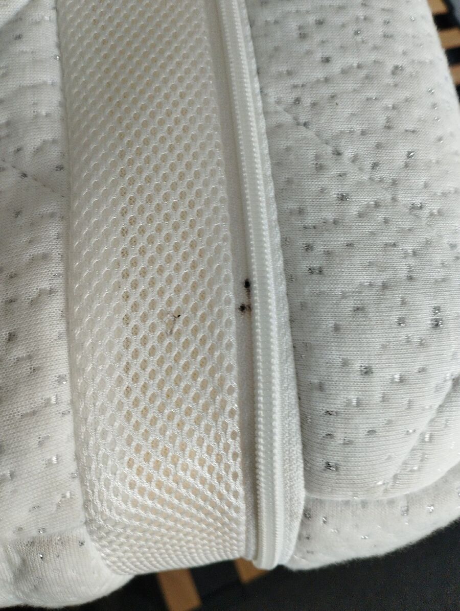 bettwanzen_bekaempfen