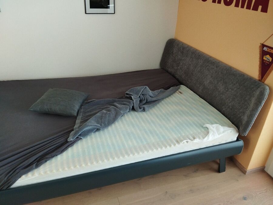 bettwanzen_bekaempfen