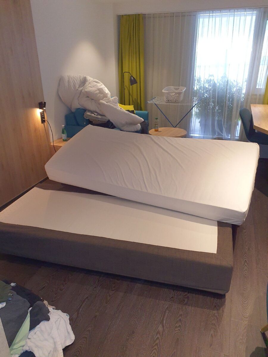 bettwanzen_bekaempfen