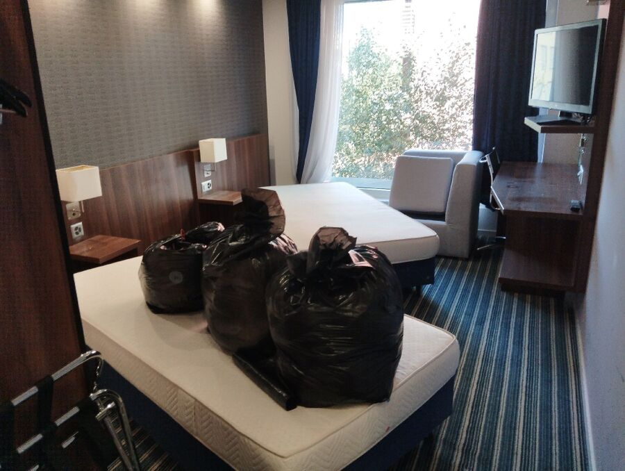 bettwanzen_bekaempfen