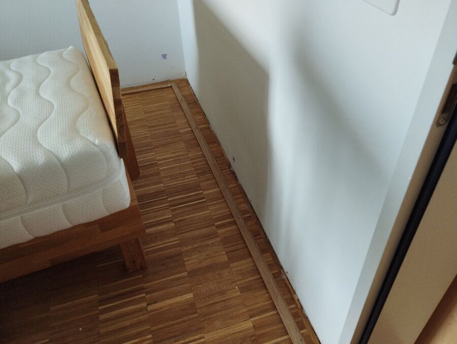 bettwanzen_bekaempfen