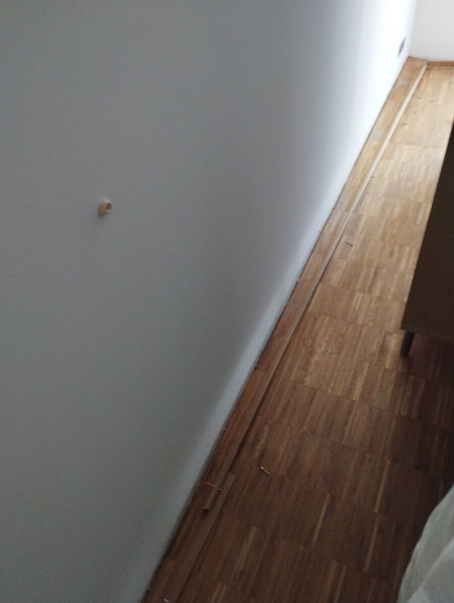 bettwanzen_bekaempfen