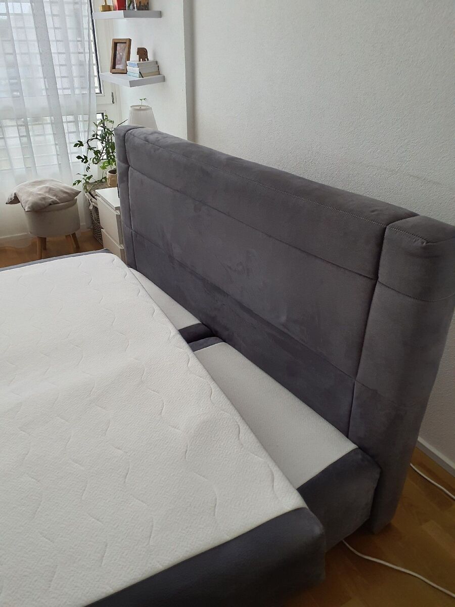 bettwanzen_bekaempfen