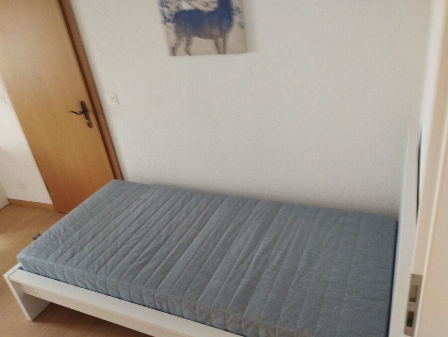 bettwanzen_bekaempfen