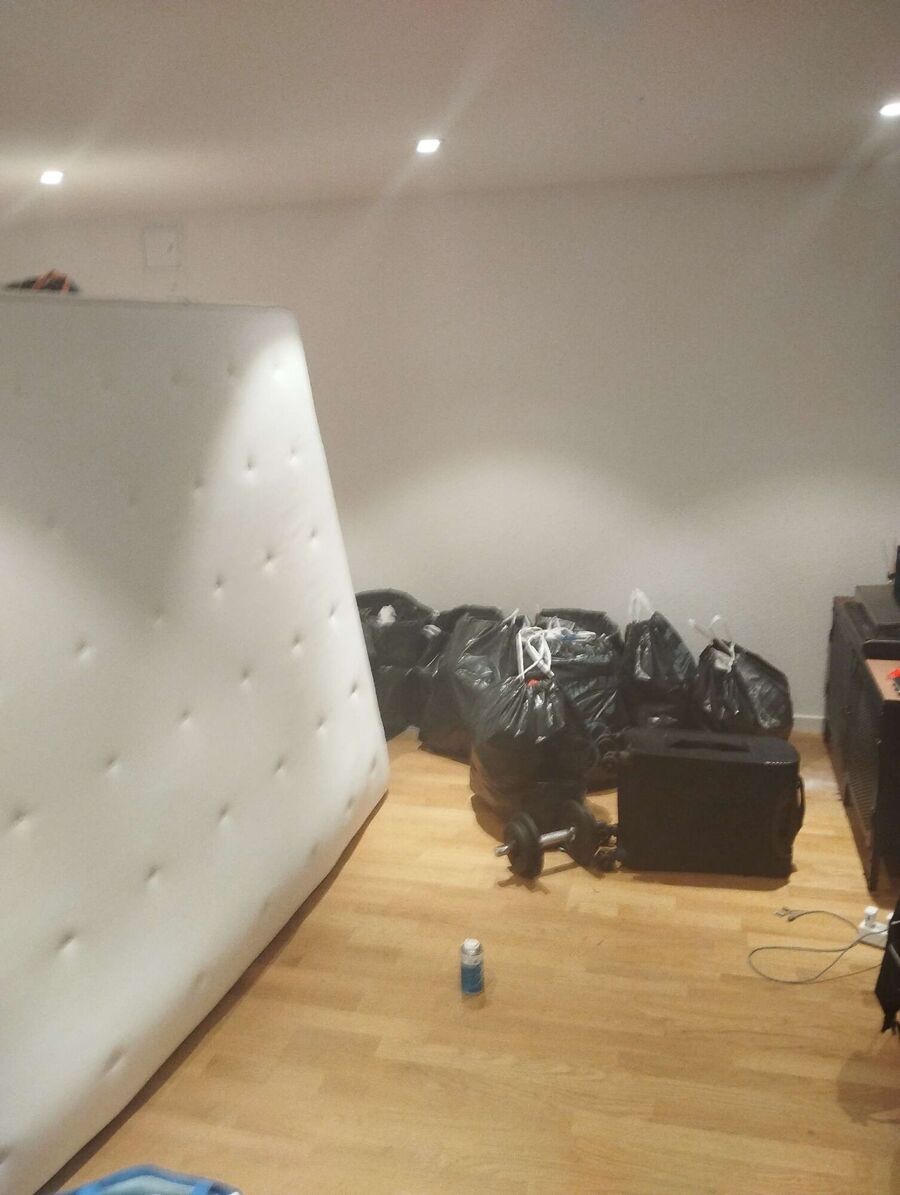 bettwanzen_bekaempfen