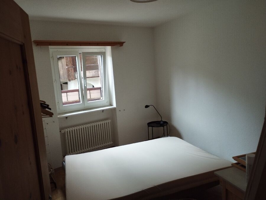 bettwanzen_bekaempfen