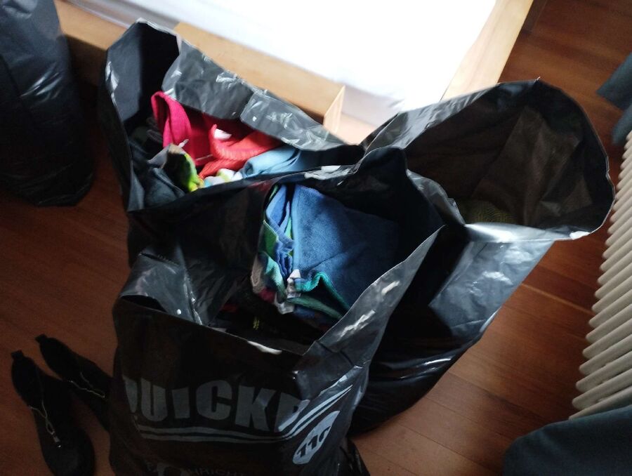 bettwanzen_bekaempfen