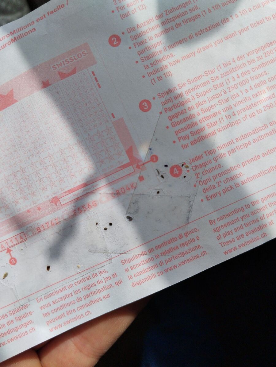 bettwanzen_bekaempfen